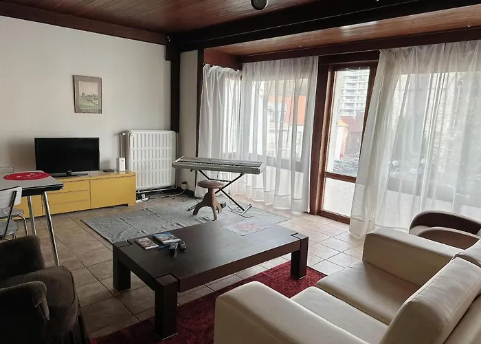 Appartement Centre Ville
